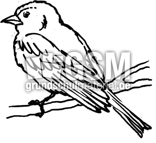 vogel.jpg